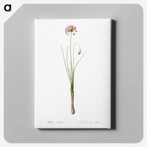 3-50_The-Lilies_canvas