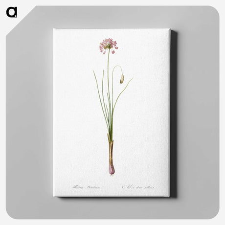 3-50_The-Lilies_canvas