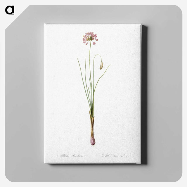 3-50_The-Lilies_canvas