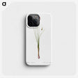 3-50_The-Lilies_phone