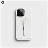 3-50_The-Lilies_phone