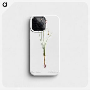 3-50_The-Lilies_phone