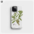 3-50_Treatise-on-Trees-and-Shrubs_phone