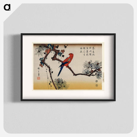 アートポスター-Macaw on Pine Branch
 - 歌川 広重 Poster.