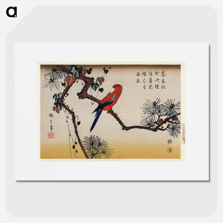 アートポスター-Macaw on Pine Branch
 - 歌川 広重 Poster.