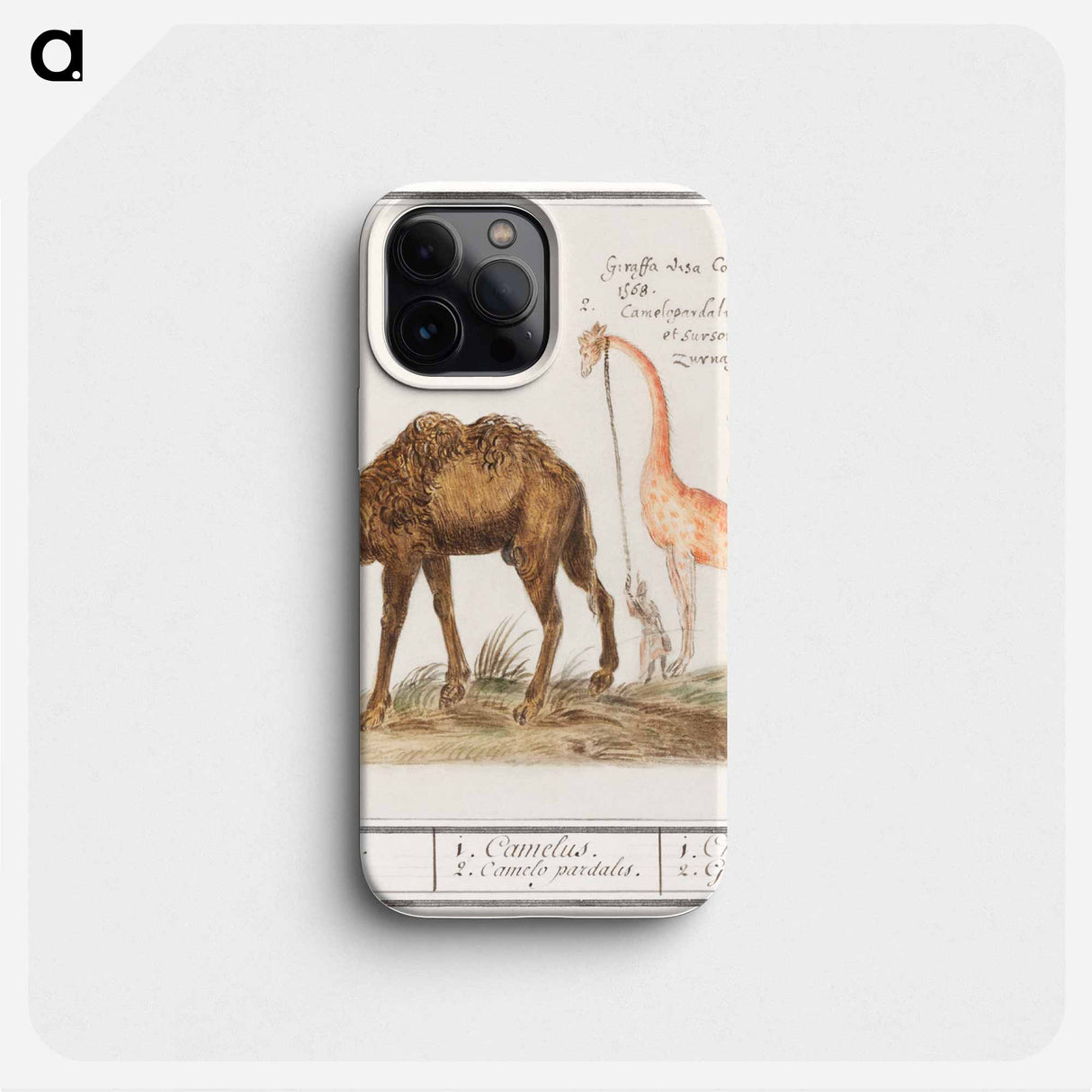 Camel, Camelus ferus bactrianus and Giraffe, Giraffa - アンセルムス ボエティウス デ ブート Phone Case.