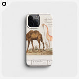 Camel, Camelus ferus bactrianus and Giraffe, Giraffa - アンセルムス ボエティウス デ ブート Phone Case.