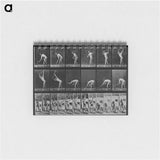 アートメモ帳-Man with Pickaxe
 - エドワード マイブリッジ Memo.