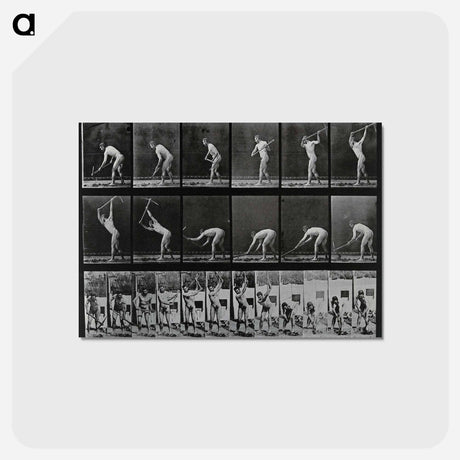 アートポストカード-Man with Pickaxe
 - エドワード マイブリッジ Postcard.