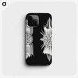 3-51_Ernst-Haeckel_phone