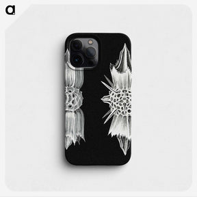 3-51_Ernst-Haeckel_phone