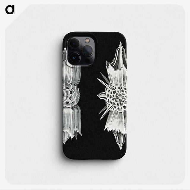 3-51_Ernst-Haeckel_phone