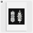 3-51_Ernst-Haeckel_picture