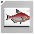 3-51_Ichtyologie-ou-Histoire-naturelle_canvas