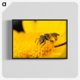 3-51_Insects-Unlocked-Project_blk-crop