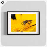 3-51_Insects-Unlocked-Project_blk