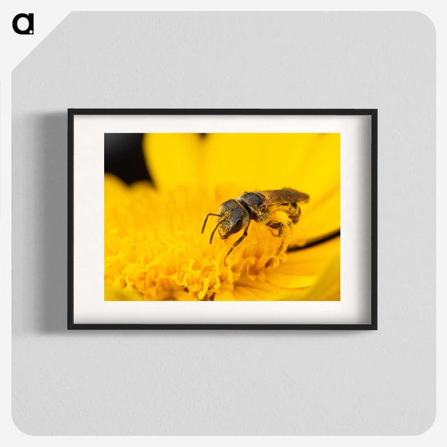3-51_Insects-Unlocked-Project_blk