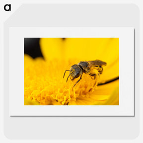 3-51_Insects-Unlocked-Project_picture