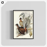 3-51_John-Gould_blk-crop