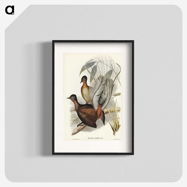 3-51_John-Gould_blk