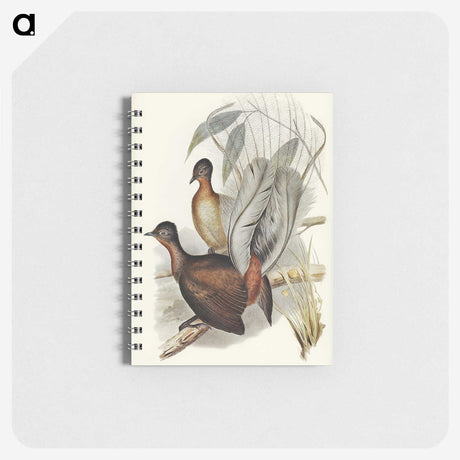 3-51_John-Gould_memo