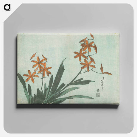 アートパネル-Blackberry Lily - 葛飾 北斎 Canvas.