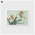 アートポストカード-Blackberry Lily - 葛飾 北斎 Postcard.