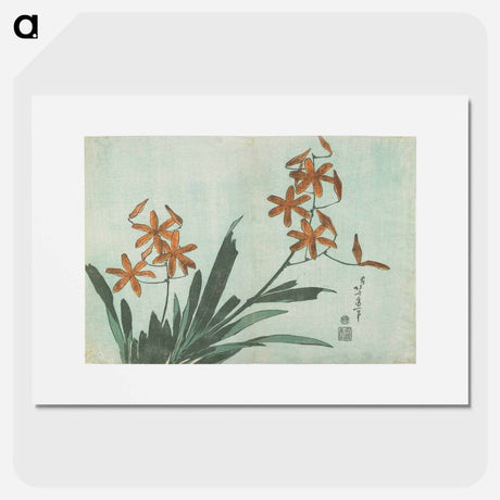 アートポスター-Blackberry Lily - 葛飾 北斎 Poster.