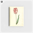 アートメモ帳-Tulipa gesneriana
 - マリア ジビーラ メーリアン Memo.