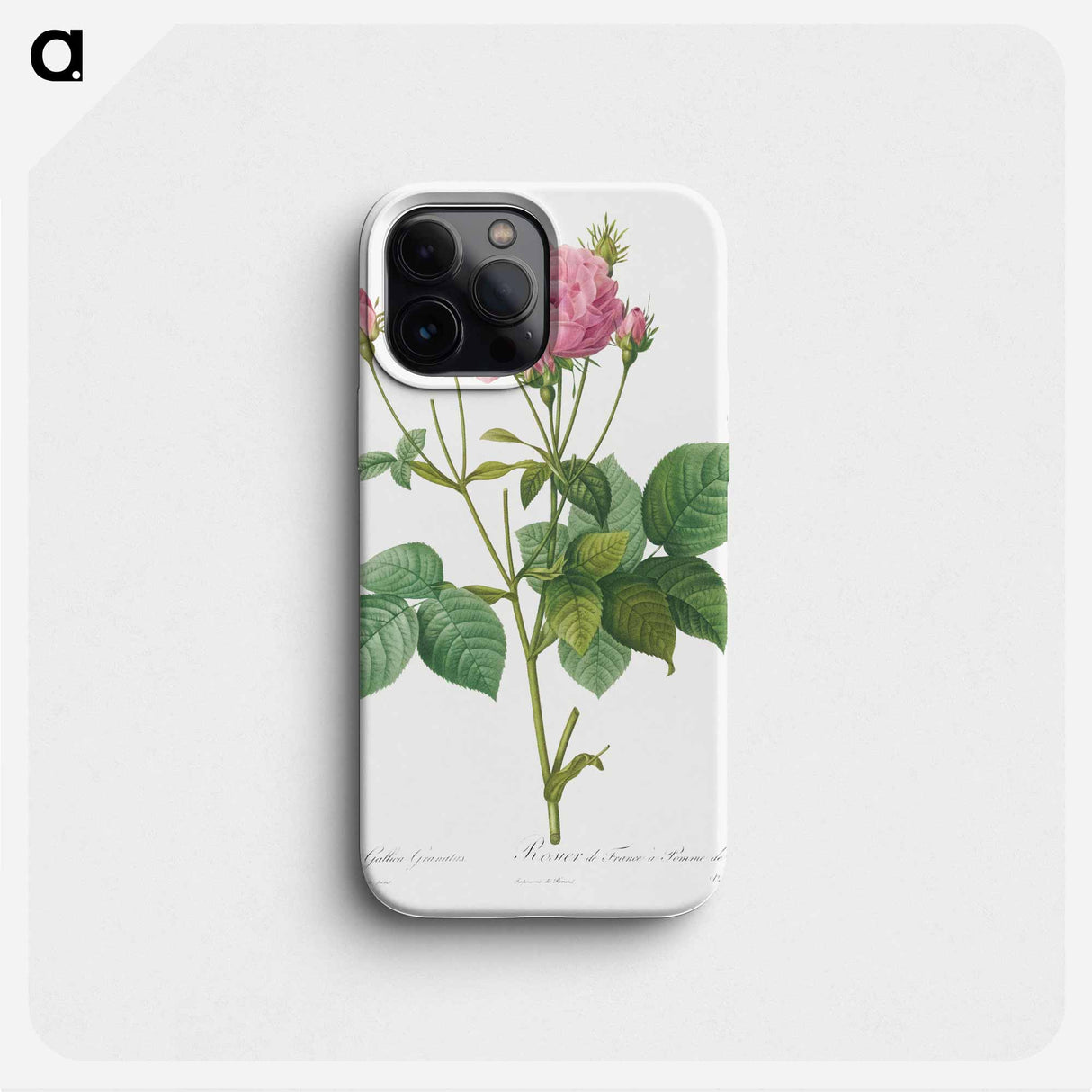 Rosa gallica granules - ピエール ジョゼフ ルドゥーテ Phone Case.