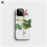 Rosa gallica granules - ピエール ジョゼフ ルドゥーテ Phone Case.