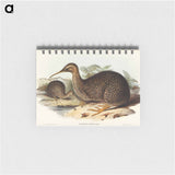 アートメモ帳-Little Spotted Kiwi
 - オーストラリアの鳥 Memo.
