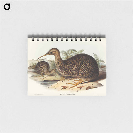 アートメモ帳-Little Spotted Kiwi
 - オーストラリアの鳥 Memo.