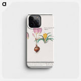 Crocus, Crocus - アンセルムス ボエティウス デ ブート Phone Case.