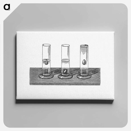 アートパネル-Eggs in Salted Water and in Pure Water
 - 大英図書館 Canvas.