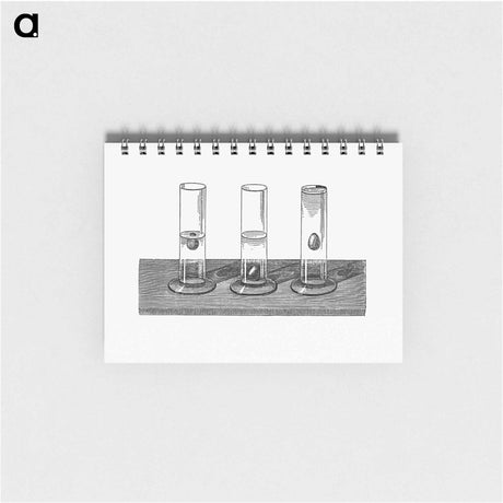 アートメモ帳-Eggs in Salted Water and in Pure Water
 - 大英図書館 Memo.