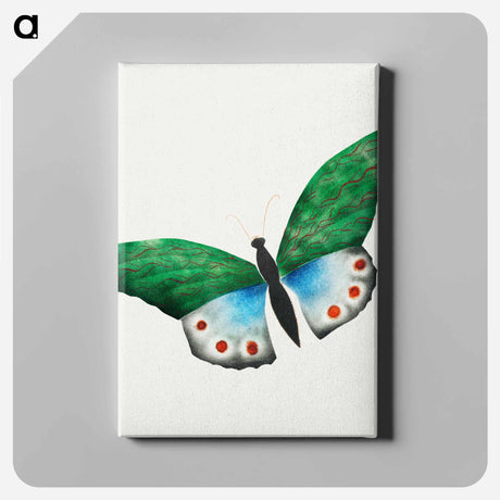 アートパネル-Butterfly
 - クリーブランド美術館 Canvas.