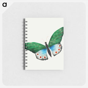 アートメモ帳-Butterfly
 - クリーブランド美術館 Memo.