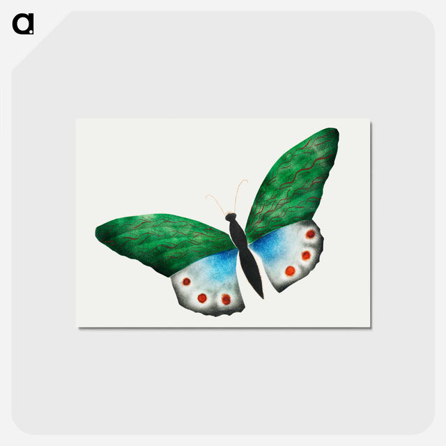 アートポストカード-Butterfly
 - クリーブランド美術館 Postcard.