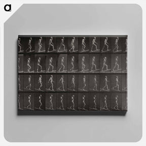 アートパネル-Ascending and Descending an Incline
 - エドワード マイブリッジ Canvas.