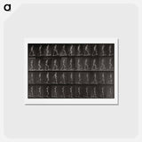 アートポストカード-Ascending and Descending an Incline
 - エドワード マイブリッジ Postcard.