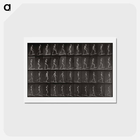 アートポストカード-Ascending and Descending an Incline
 - エドワード マイブリッジ Postcard.