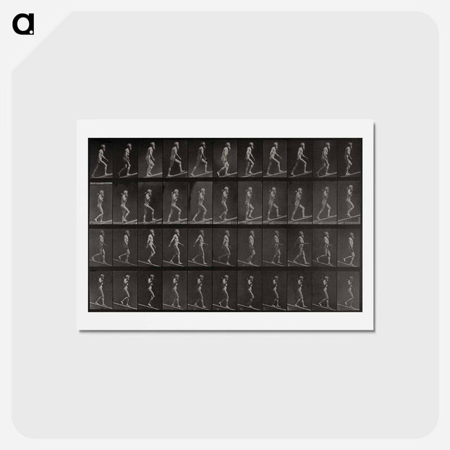アートポストカード-Ascending and Descending an Incline
 - エドワード マイブリッジ Postcard.