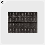 アートポストカード-Ascending and Descending an Incline
 - エドワード マイブリッジ Postcard.