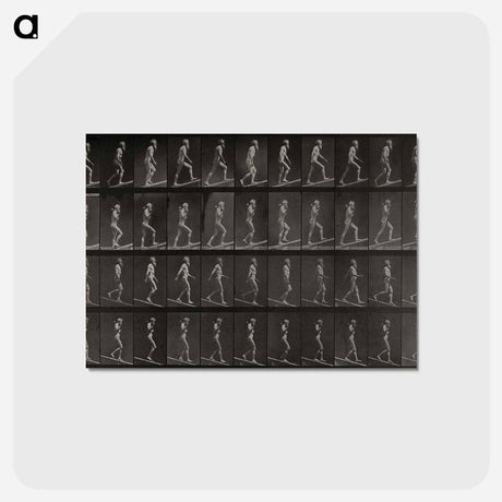 アートポストカード-Ascending and Descending an Incline
 - エドワード マイブリッジ Postcard.