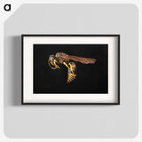3-52_Insects-Unlocked-Project_blk