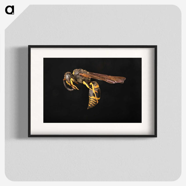 3-52_Insects-Unlocked-Project_blk