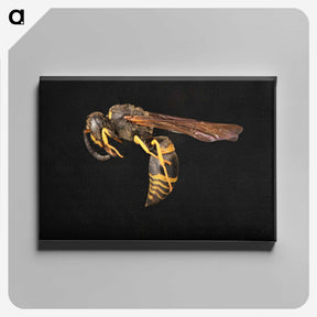 3-52_Insects-Unlocked-Project_canvas