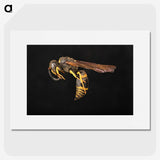 3-52_Insects-Unlocked-Project_picture