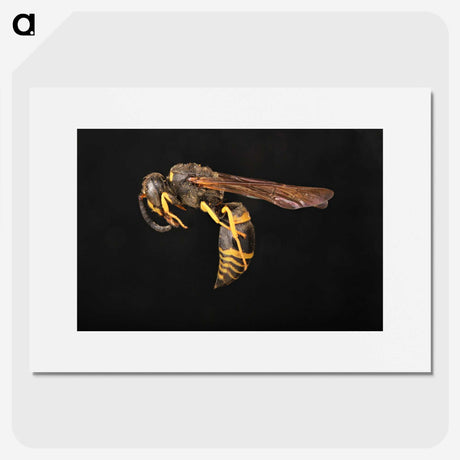 3-52_Insects-Unlocked-Project_picture